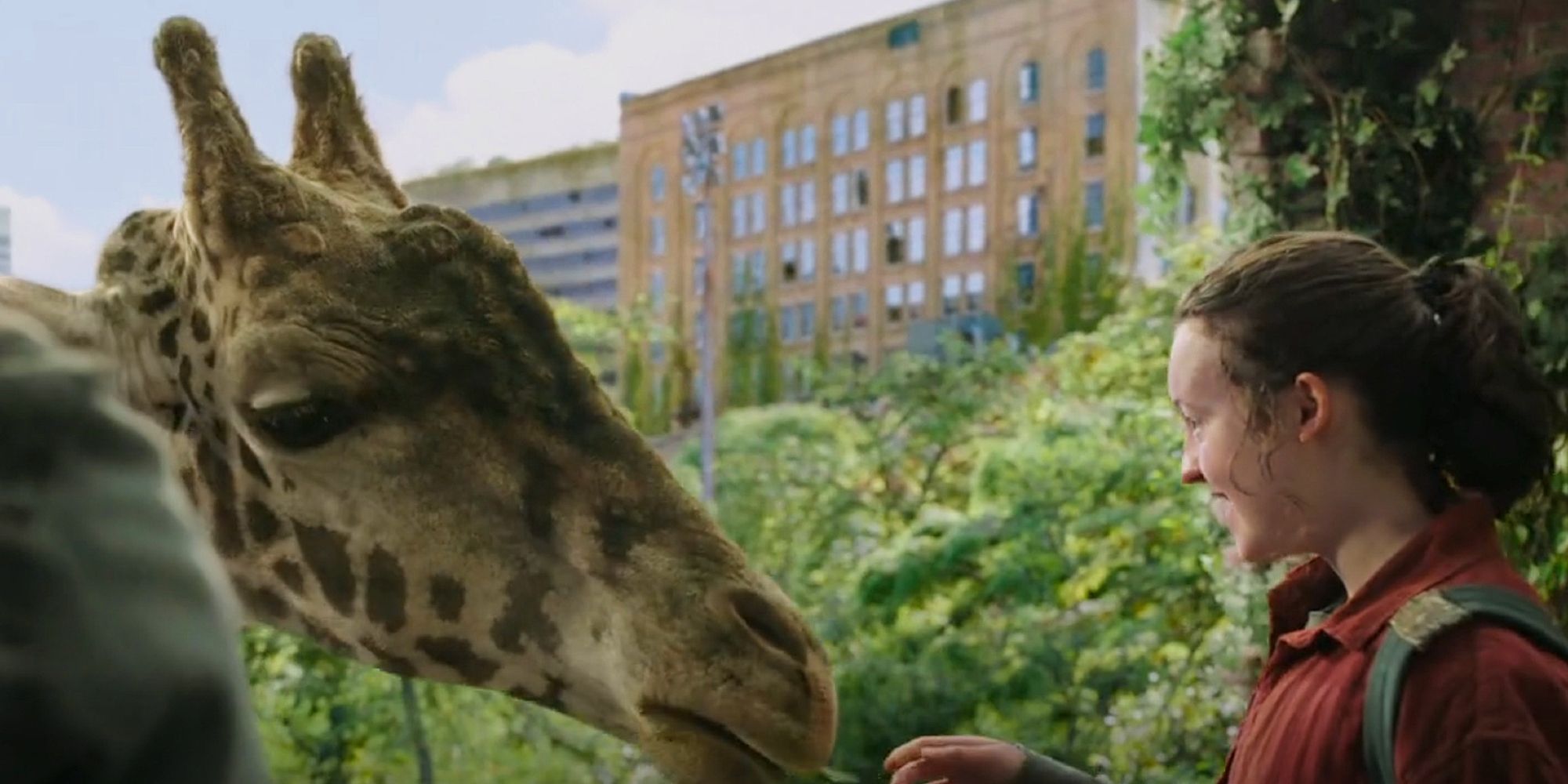 The Last of Us: Série Usou Uma Girafa Real em Cena do Último Episódio!