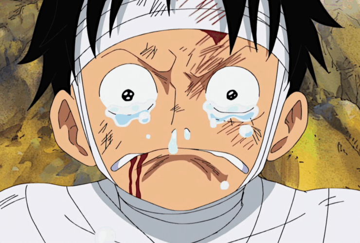 One Piece / Eiichiro Oda